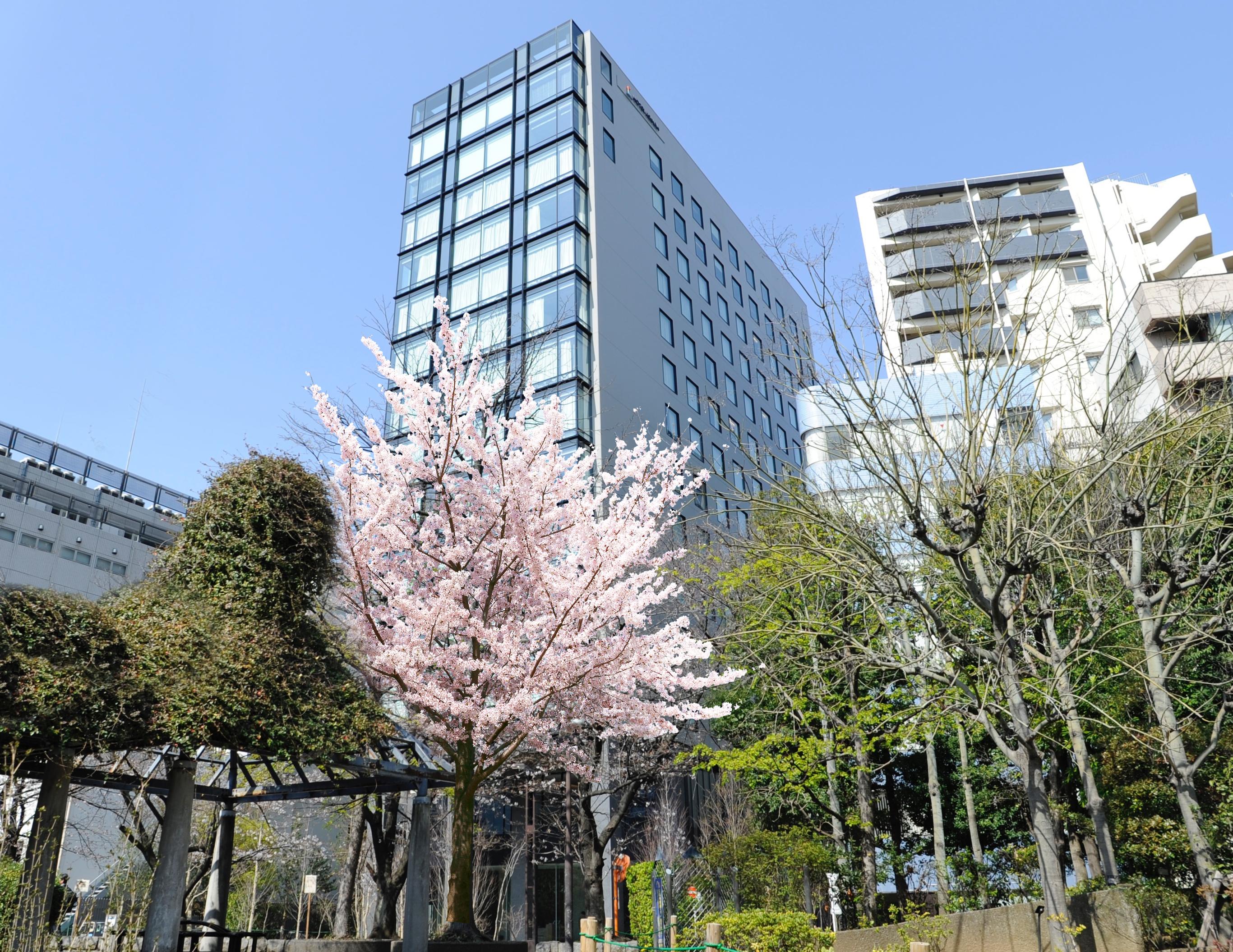 Hotel Keihan Tsukiji Ginza Grande Tóquio Exterior foto